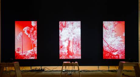 Paintings at the Berman Museum