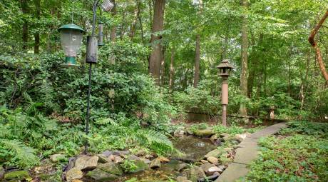 Woods of Briar Bush Nature Center