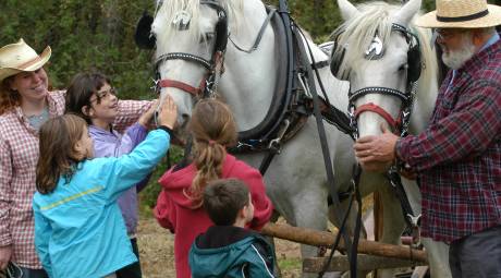 Mennonite Heritage Center Apple Butter Frolic