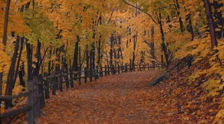 Fall foliage along the Perkiomen Trail in Montgomery County, PA