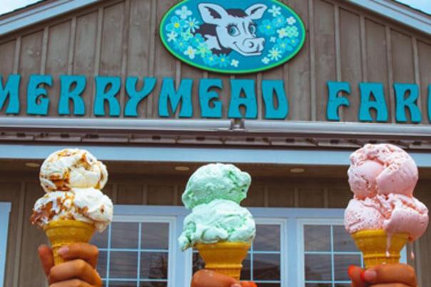 MerryMeadFarm