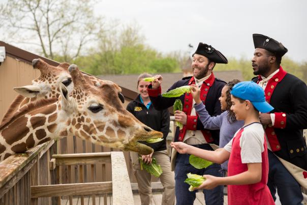 Summer 2019 Campaign Soldiers & Kids Elmwood Park Zoo Giraffe Feeding