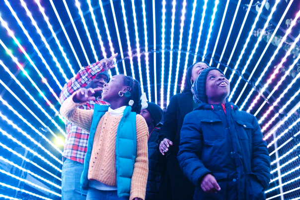 wild lights family zoo