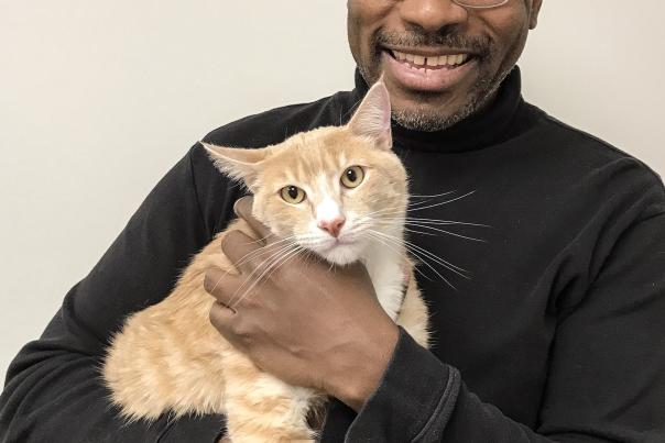 Bridgeport Veterinary Hospital