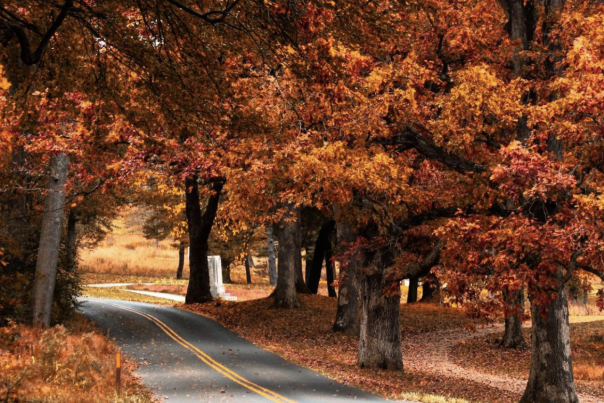 Fall