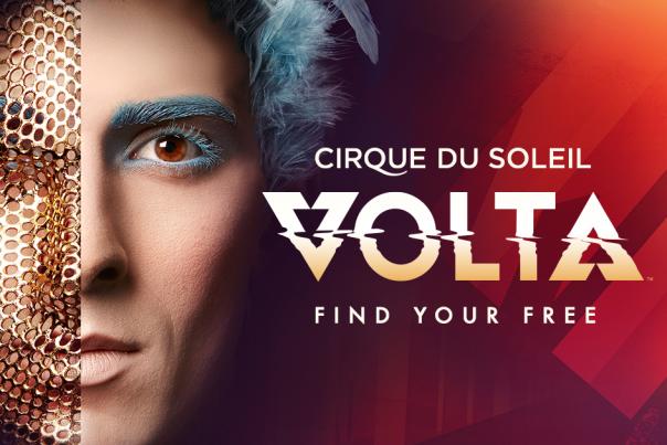 VOLTA Header