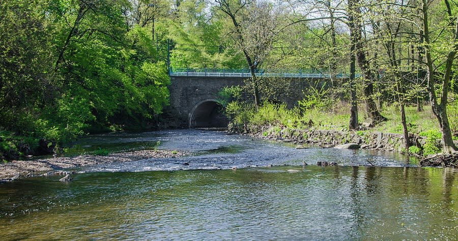 PENNYPACK CREEK