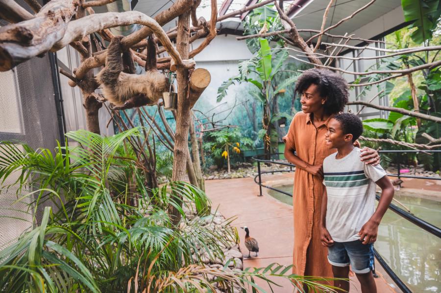 A family enjoying Elmwood Park Zoo's Sloths