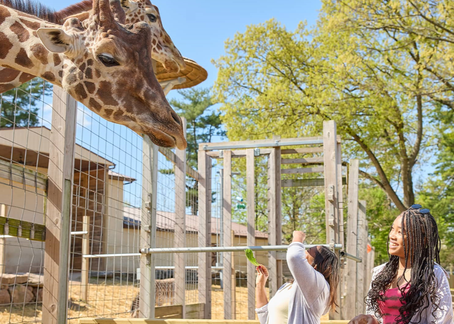 Spring Zoo Photosh+oot Copy