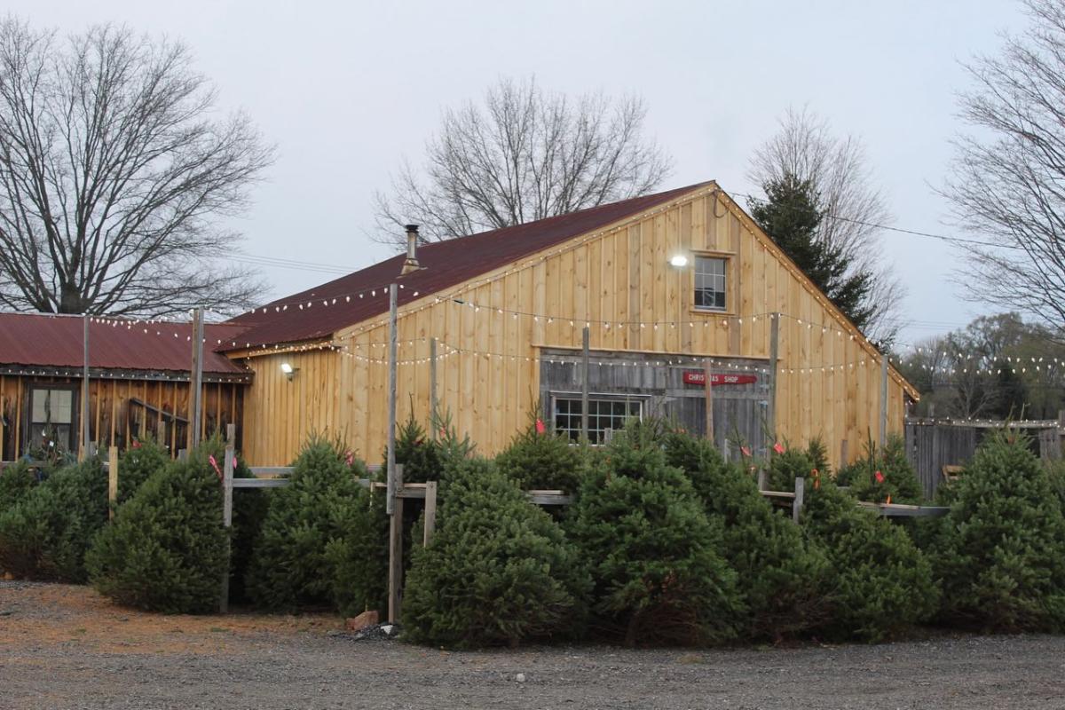 Exterior of Arader's Tree Farm