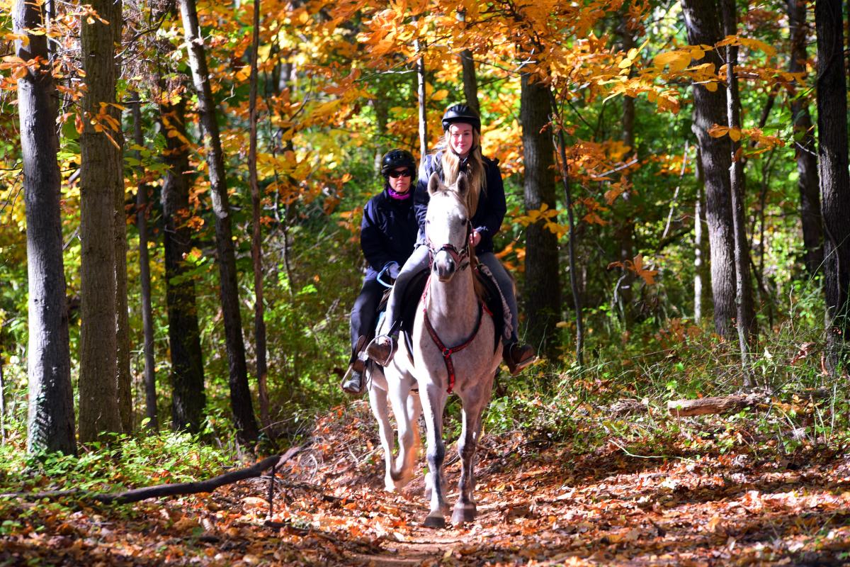 Horseback Riding in Evansburg State PArk