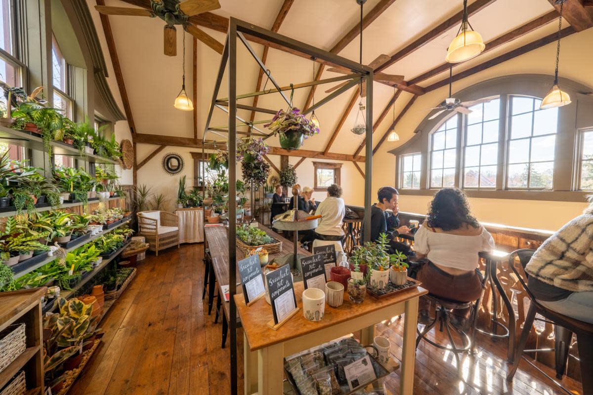 Succulent bar at Floral and Hardy