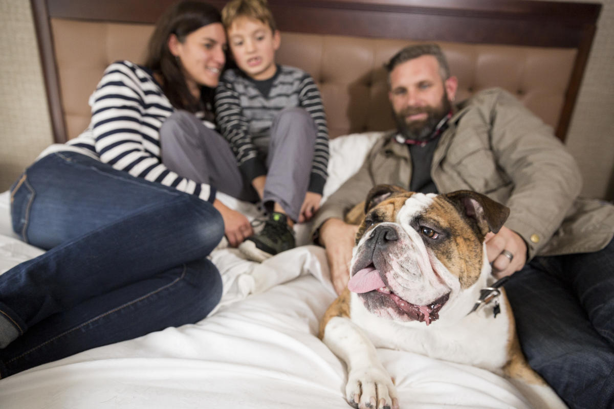Pet Friendly Hotels
