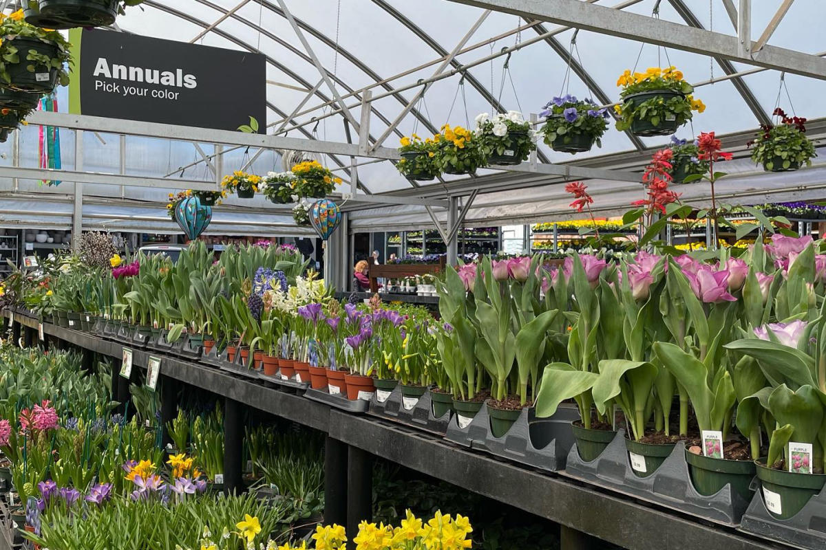 Interior of Primex Garden Center greenhouse