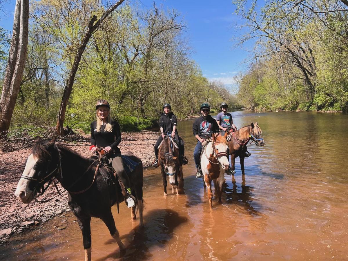 Horseback riders on a scenic trail