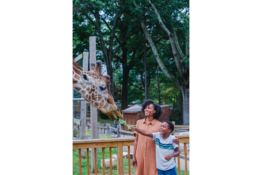 Elmwood Park Zoo