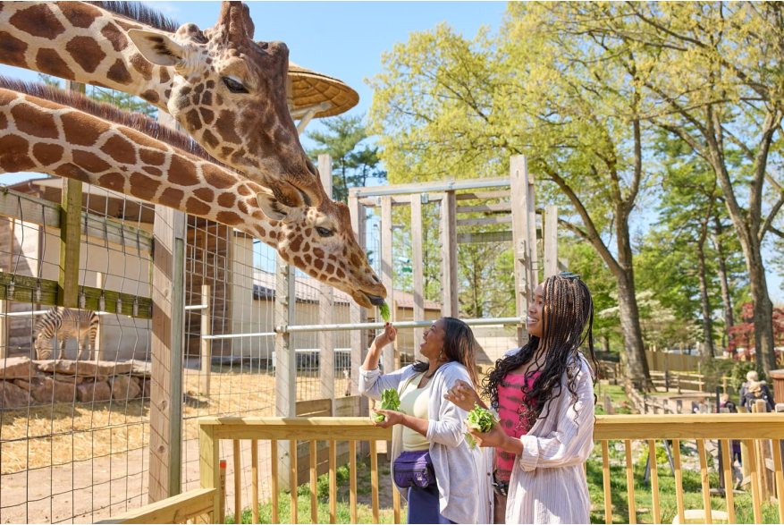 Elmwood Park Zoo