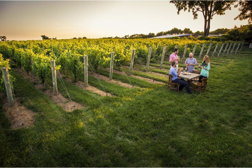 Vala Vineyard Winery