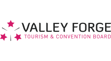 VF logo