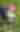 FIFA World Cup 2026: Argentina vs. Austria at Dallas Stadium