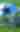 Preseason Game: Dallas Cowboys vs. New Orleans Saints