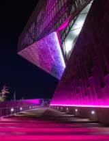Irving Convention Center Pink