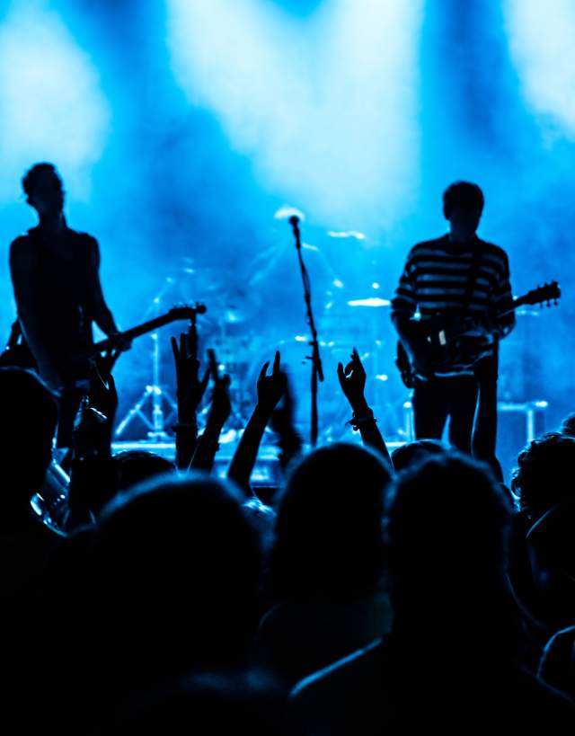 Concert with fans and band on stage