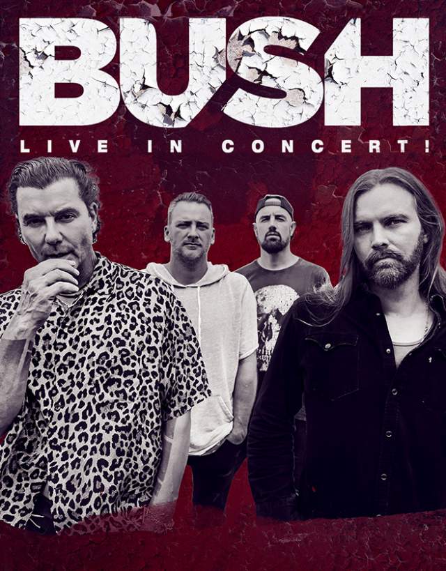 Bush in Concert Hero