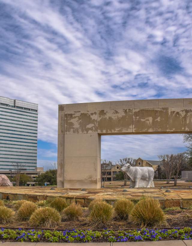 Marble Cows