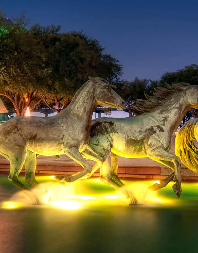 Mustangs of Las Colinas
