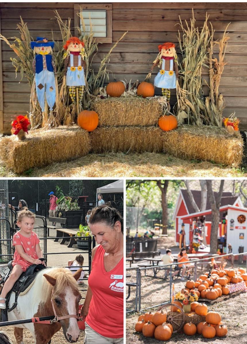 Fritz Park Collage