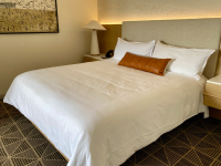 Omni Bed