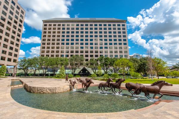 Mustangs of Las Colinas