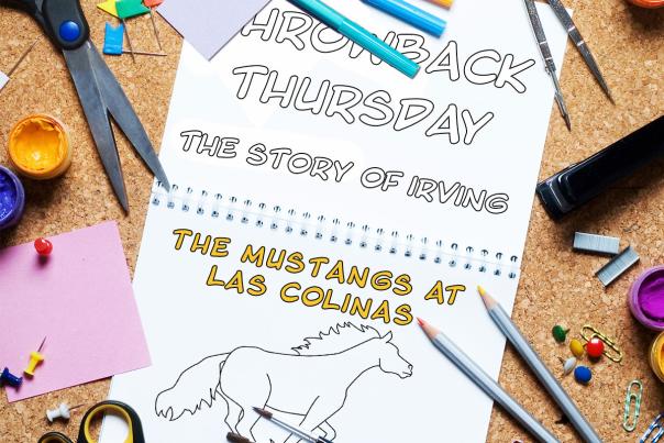Throwback Thursday Mustangs