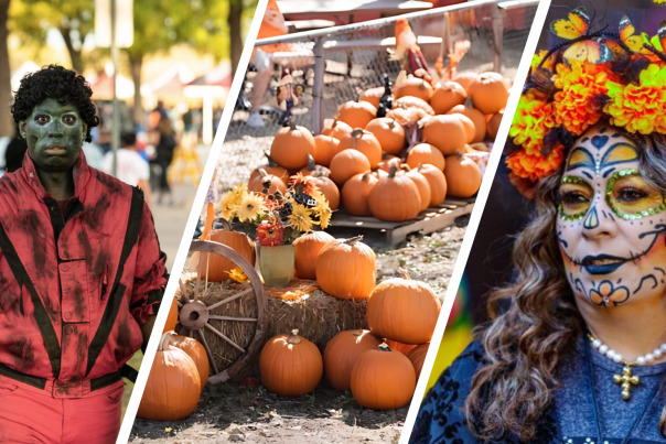 5 Fall Events