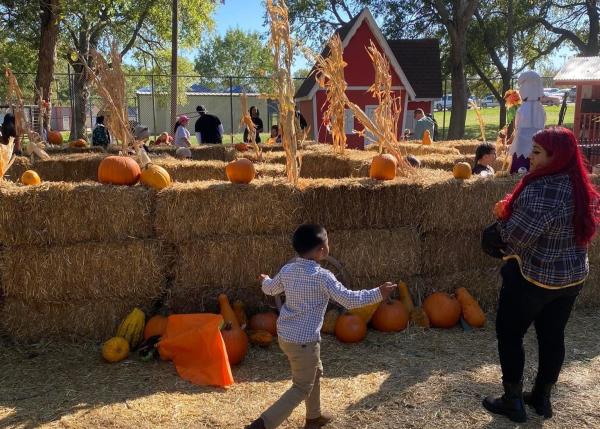 Fritz Park Pumpkin Patch