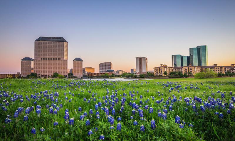 Bluebonnet Skyline