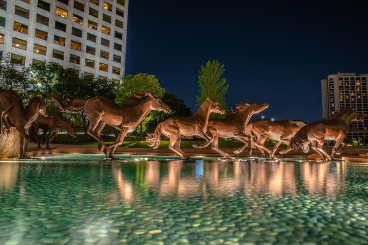 Mustangs of Las Colinas