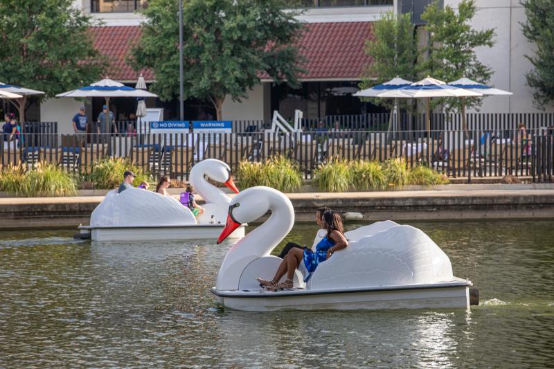Swan Pedalboat