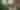 Smartphone photography workshop at Kingston Lacy