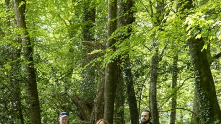 Wimborne Minster: Kingston Lacy social walks