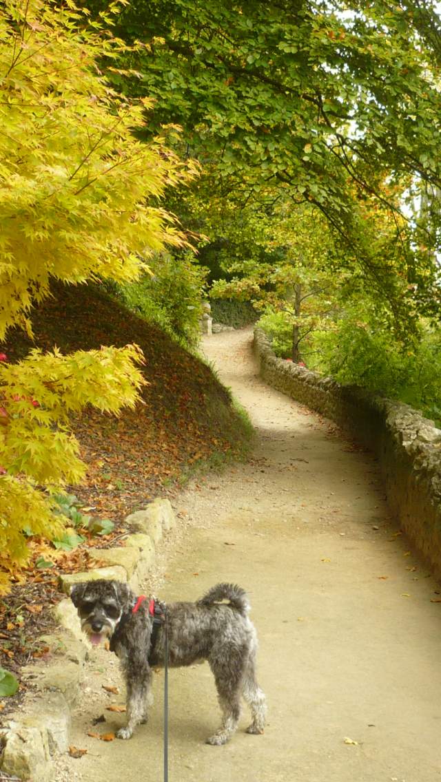 Dylan on a walk in the garden at Sherborne Castle