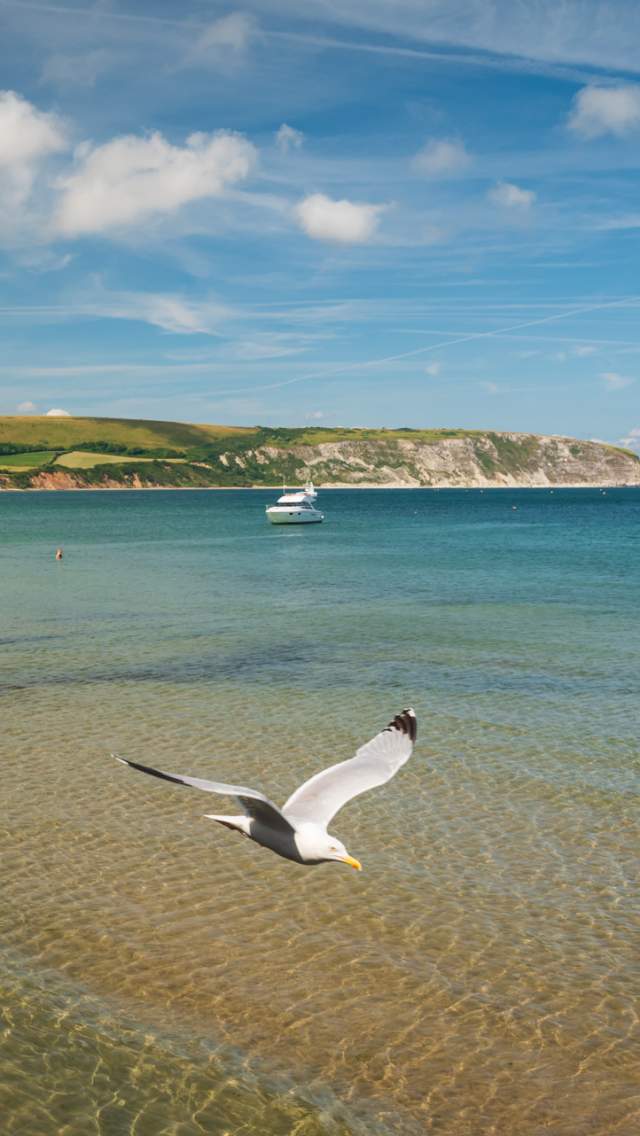 Swanage Beach