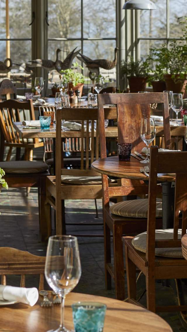 Wooden dining tables and chairs are set for a meal in a sunlit room filled with potted plants and large windows overlooking a natural landscape.