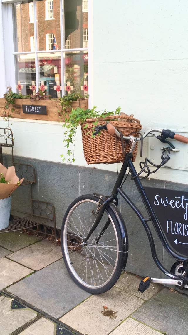 Shopping in Blandford