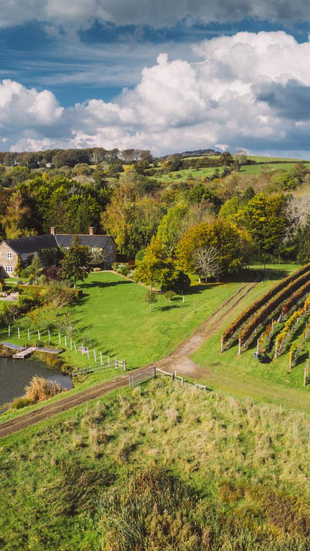 Furleigh Wine Estate