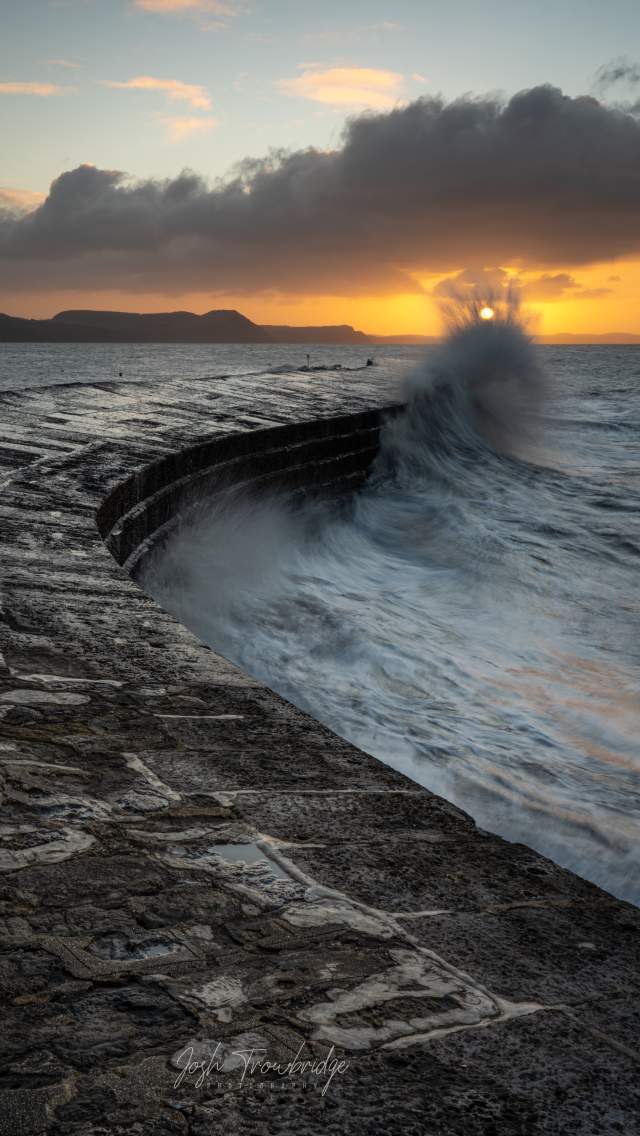 The Cobb
