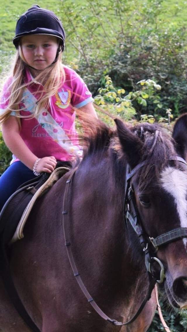 Horse riding at Dorset Heavy Horse Centre