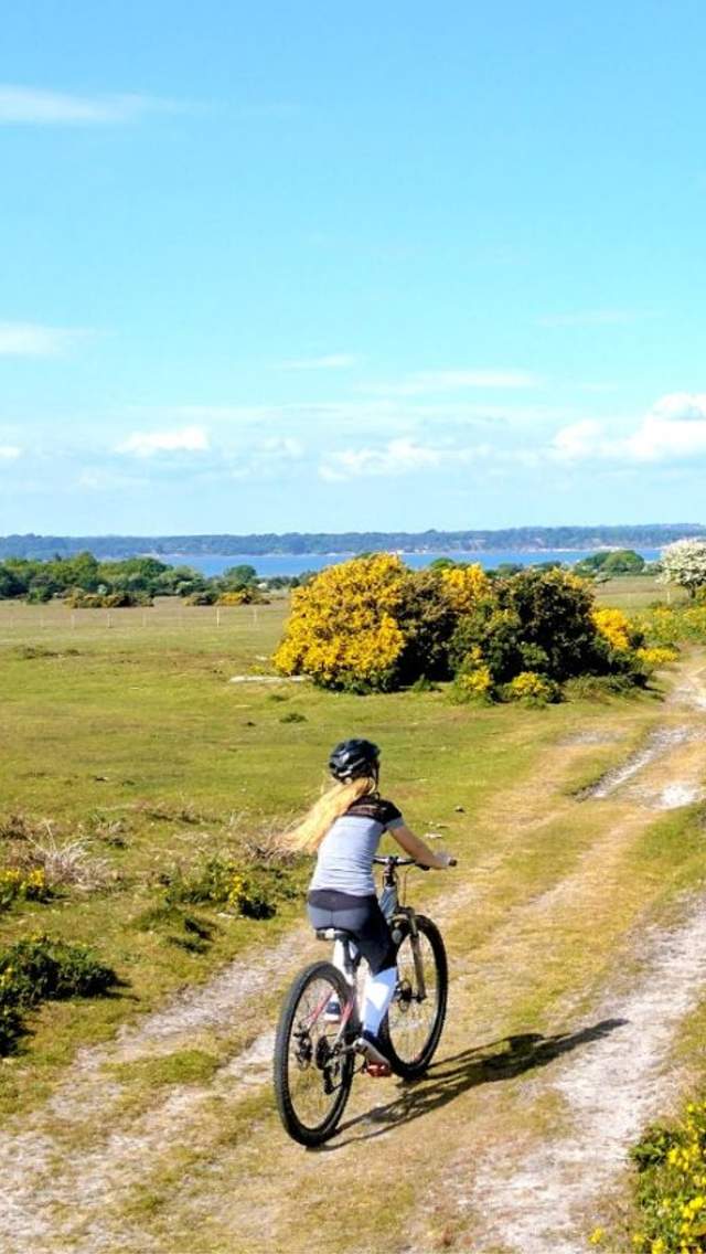 A woman cycling along a bridleway in the Dorset countryside