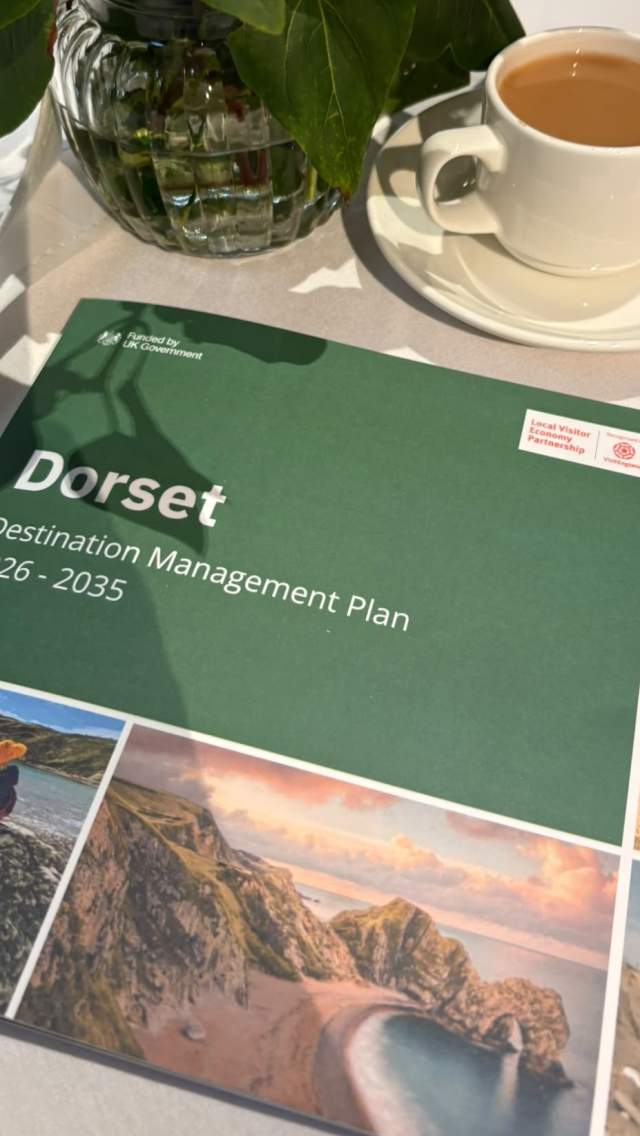 A "Dorset Destination Management Plan" brochure sits in the foreground, with a cup of coffee, a piece of cake, and a potted plant in the background.